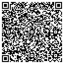 QR code with Primary Electric Inc contacts