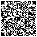 QR code with C D S Group Inc contacts
