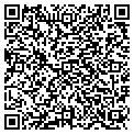 QR code with Nadine contacts