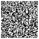 QR code with Spring Lake Ace Hardware contacts