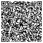 QR code with Blink Software Solutions contacts