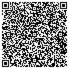 QR code with Blue Wire Technologies contacts