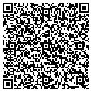 QR code with Public Storage contacts