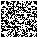 QR code with Cyclone Programming Inc contacts