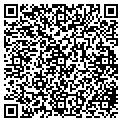 QR code with Bmsg contacts