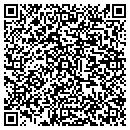 QR code with Cubes Storage To Go contacts