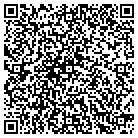 QR code with Blupinnacle Technologies contacts