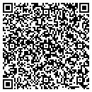QR code with Public Storage contacts