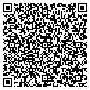 QR code with Progreso LLC contacts