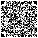 QR code with Custom Celebrations contacts