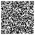 QR code with Tidal Creative contacts