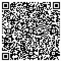 QR code with Vitro contacts