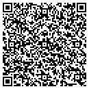 QR code with Public Storage contacts