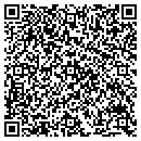 QR code with Public Storage contacts
