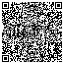 QR code with Bitinc Systems contacts