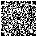 QR code with Castle Rock Storage contacts