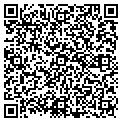 QR code with D-Line contacts
