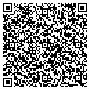 QR code with Public Storage contacts