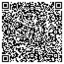 QR code with Pub Bar & Grill contacts