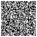 QR code with Public Storage contacts