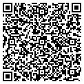 QR code with Foleys contacts