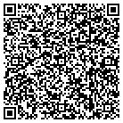 QR code with Bissonett Consulting Inc contacts