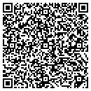 QR code with Professio Nails & Spa contacts