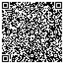 QR code with Codepoet Consulting contacts
