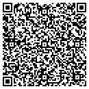 QR code with Psiflow Technologys contacts