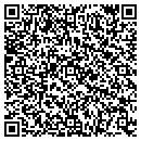QR code with Public Storage contacts