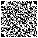 QR code with Public Storage contacts