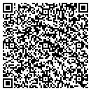 QR code with Public Storage contacts