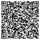 QR code with Public Storage contacts