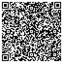 QR code with Prodigy Spa contacts