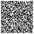 QR code with Bluewater Pool Services contacts