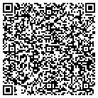 QR code with Blimpie Subs & Salads contacts