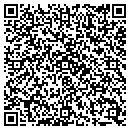 QR code with Public Storage contacts