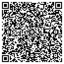 QR code with Puzzleroo LLC contacts