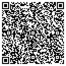 QR code with Catskill Storage Inc contacts