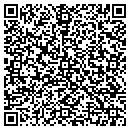 QR code with Chenal Software Inc contacts