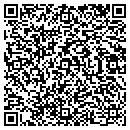 QR code with Baseball Journeys Inc contacts