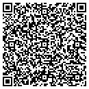 QR code with Cynthia C Fried contacts