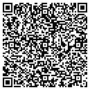 QR code with Problem Solvers/Brown's contacts