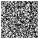 QR code with Blue Bison Software contacts