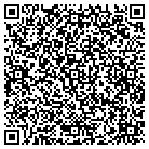 QR code with Babbage's Software contacts