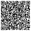 QR code with Tavoos contacts
