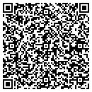QR code with Bluturn Software LLC contacts