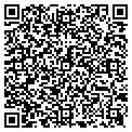 QR code with Andrea contacts