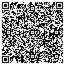 QR code with Catamount Software contacts