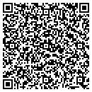 QR code with Public Storage contacts